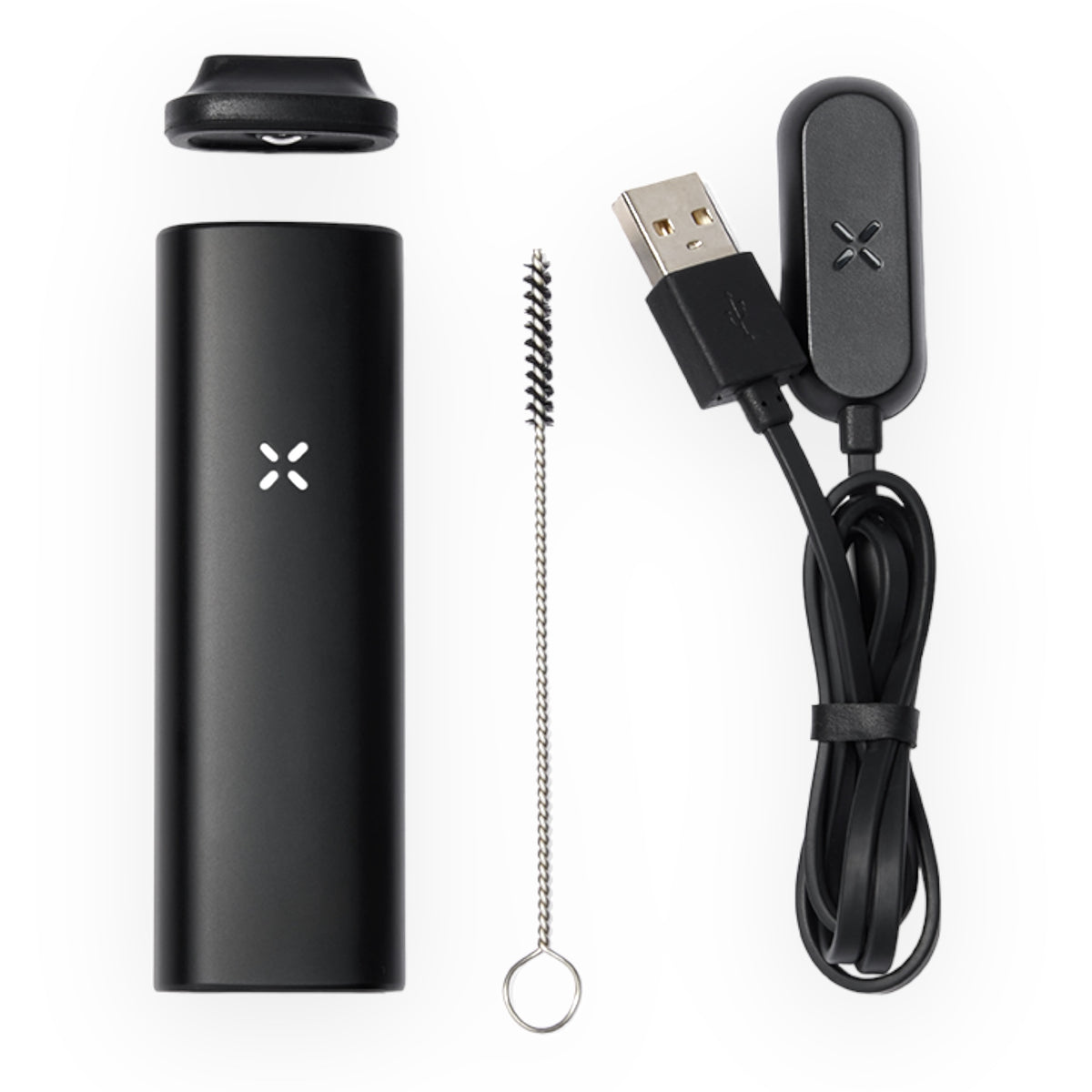 PAX Mini Onyx mit Zubehör