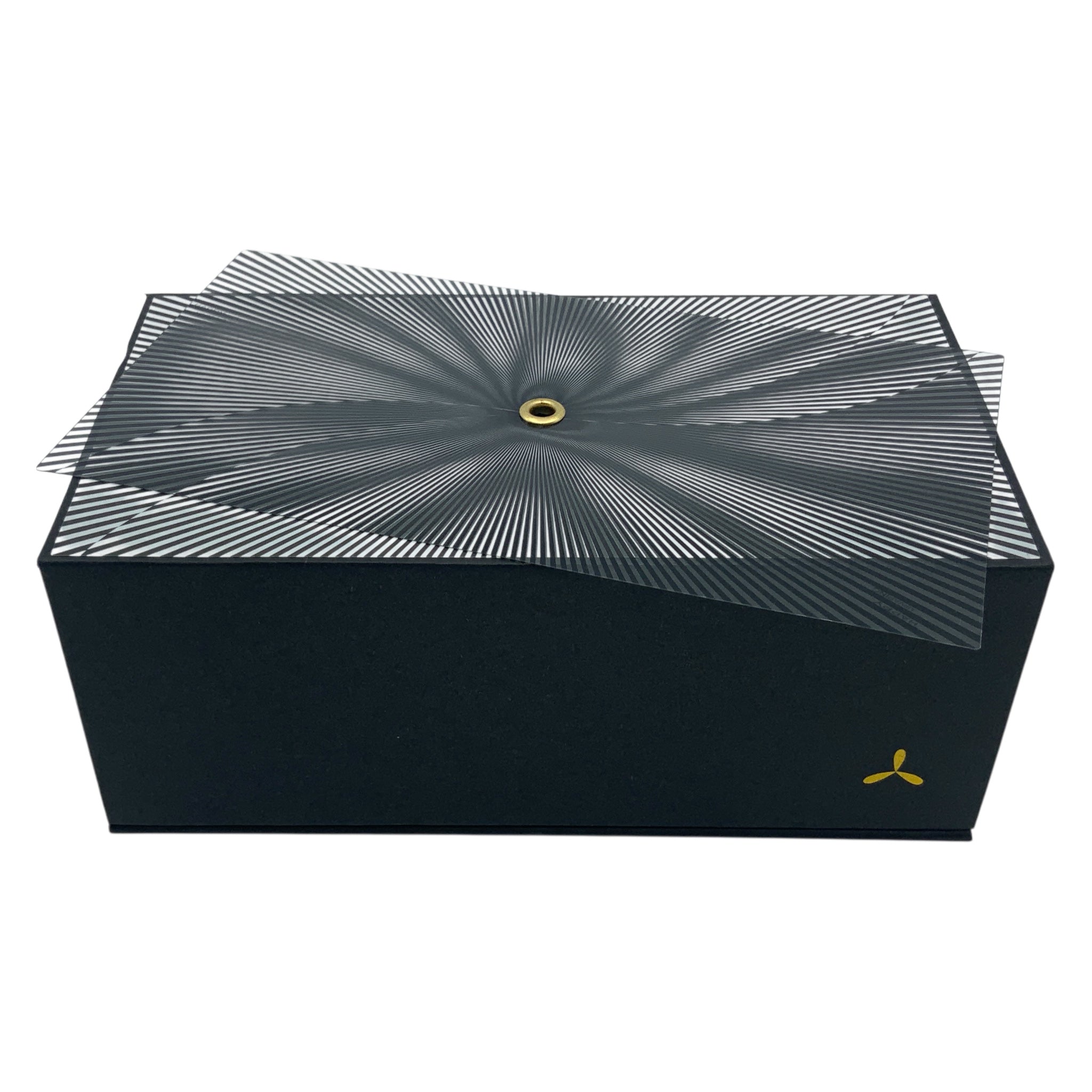Airvape Legacy Pro Vaporizer innerer Karton