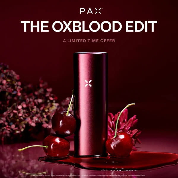 Pax Mini 2025 Oxblood im Kampagnenmotiv „The Oxblood Edit“ mit Kirschen