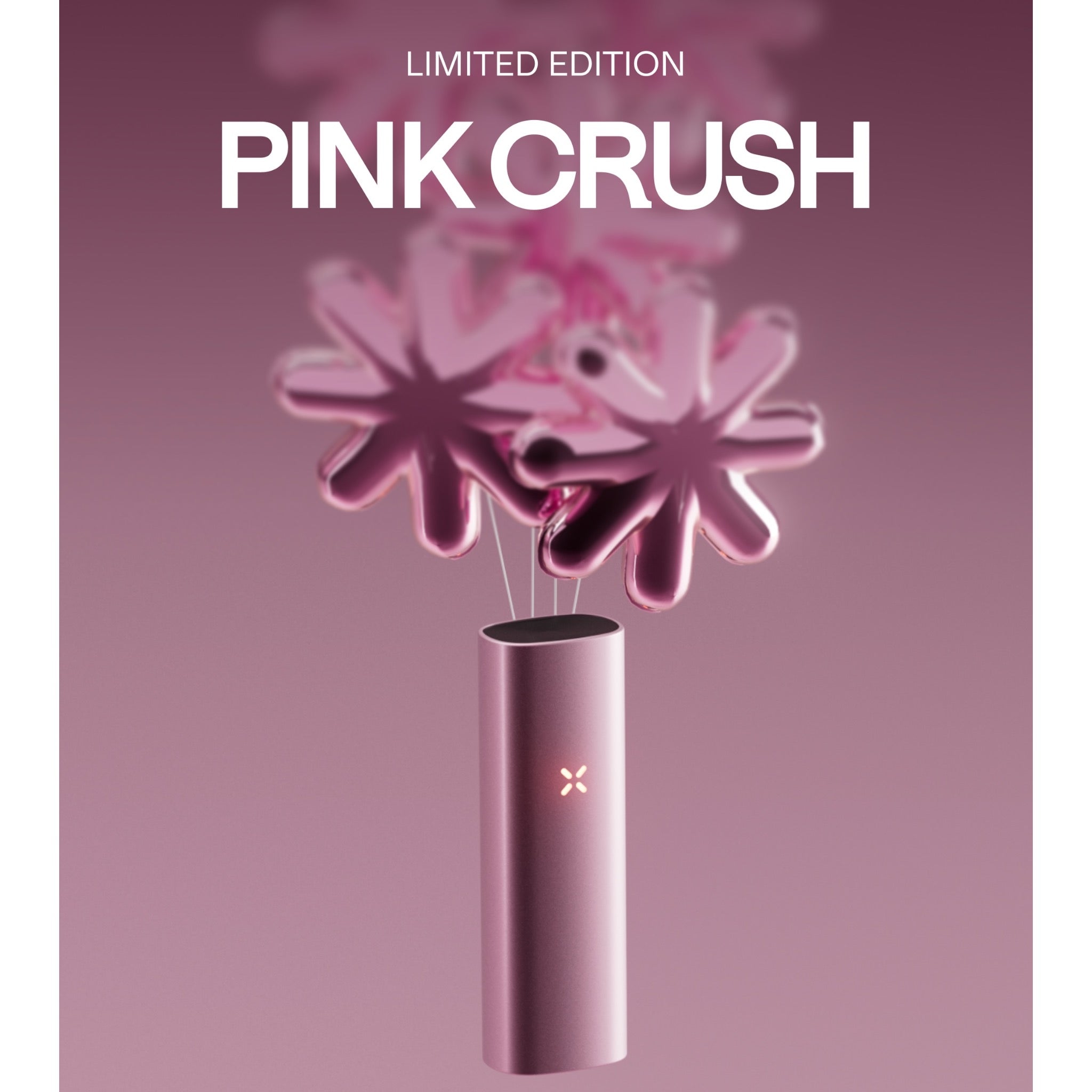 Pax New Mini Pink Edition Pink Crush Lifestyle