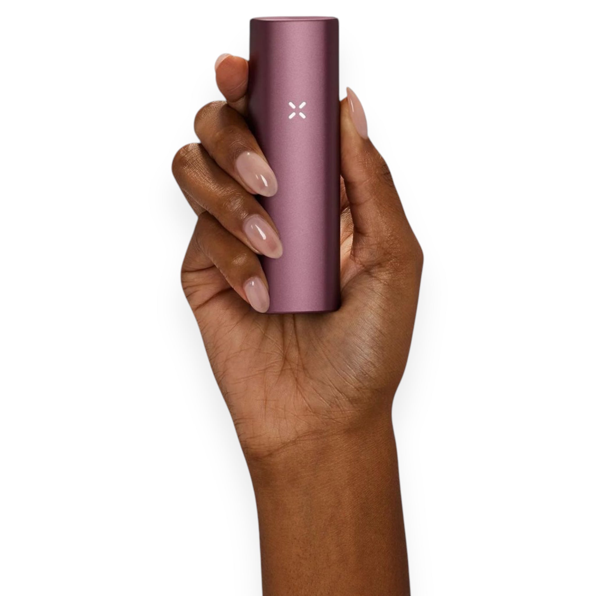 Pax Plus EXPAND limited Edition Elderberry in einer Hand